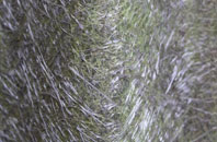 West Walton fibreglass roof work